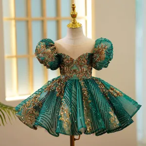 Adorable Princess Dress for Girls Showcasing a Sweet and Feminine Vibe Delicate Embroidery