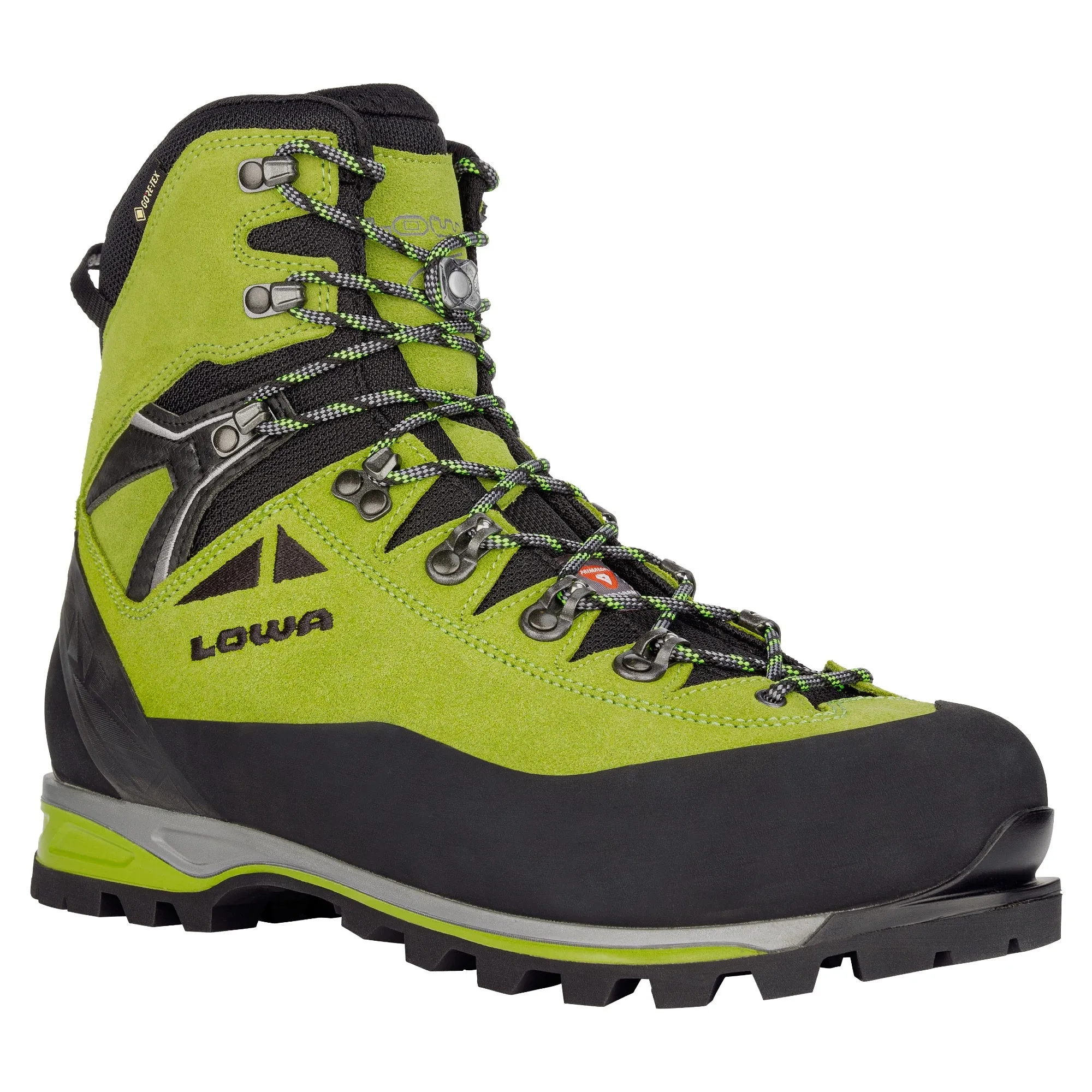 Alpine Expert II GTX