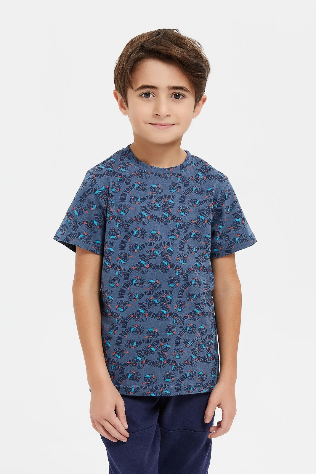 Boys Blue And White Tiger T-Shirt Set (2 Piece)