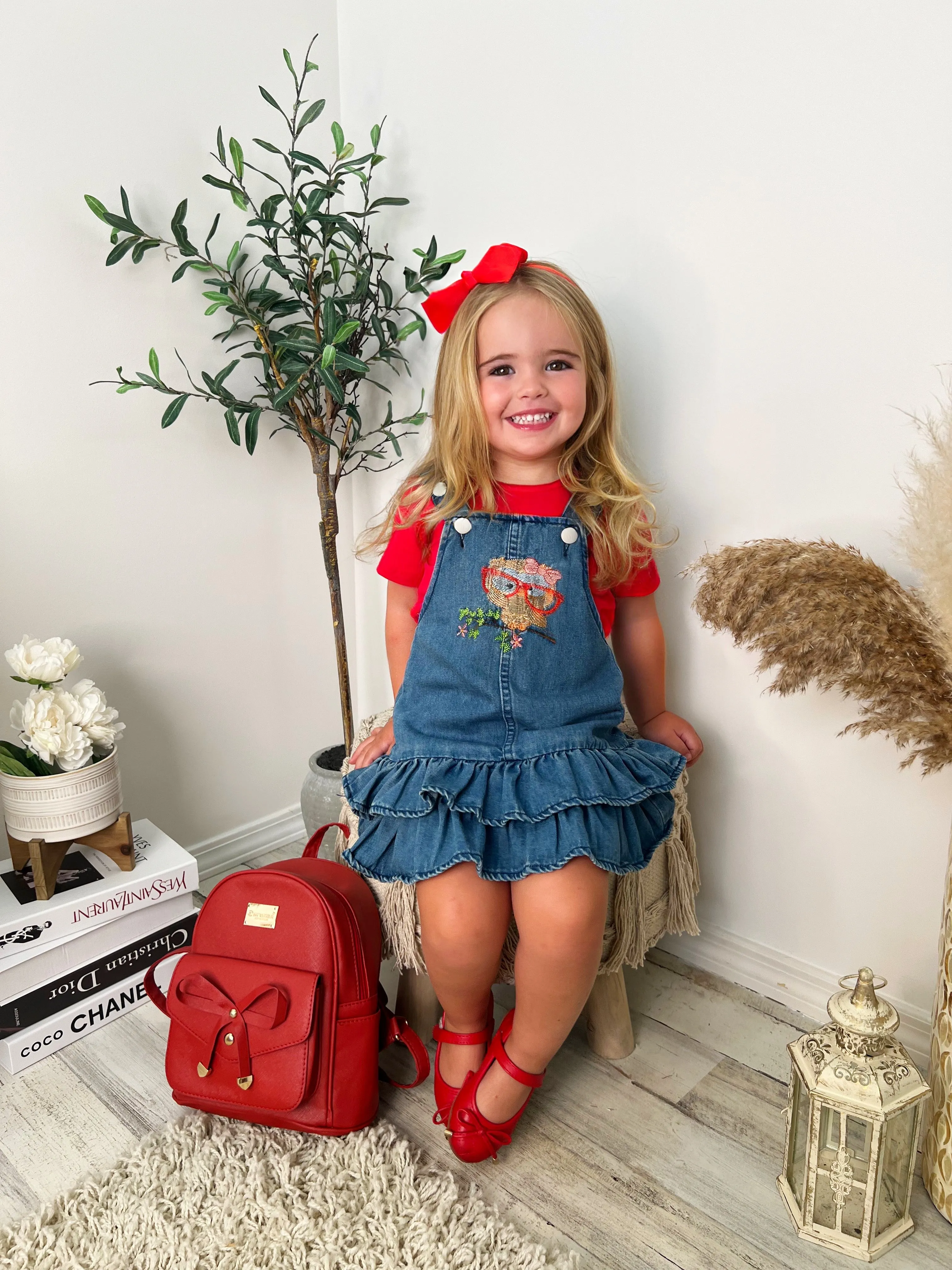 Owl Denim Overall Dress Set